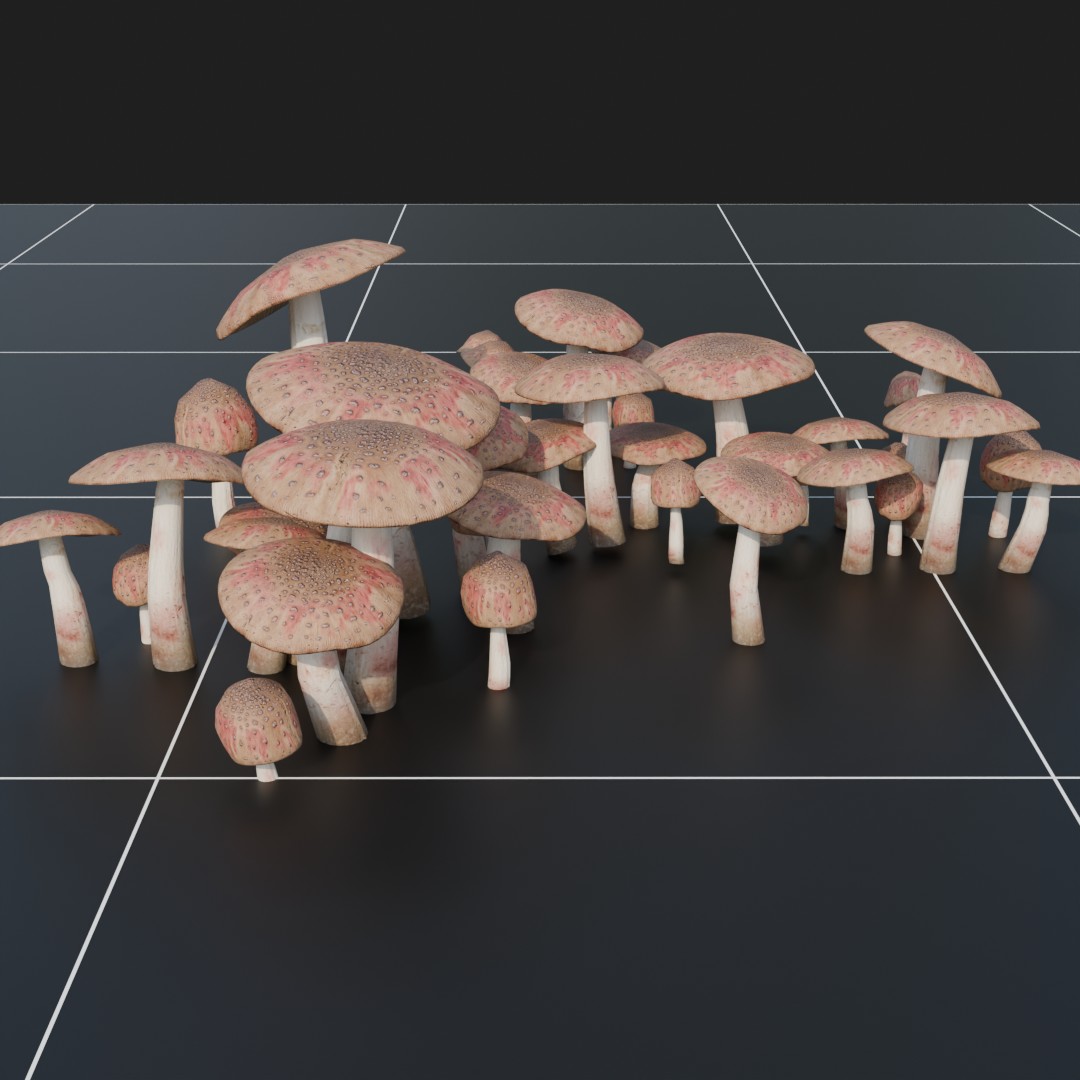 Forest Floor Mushroom Collection 2